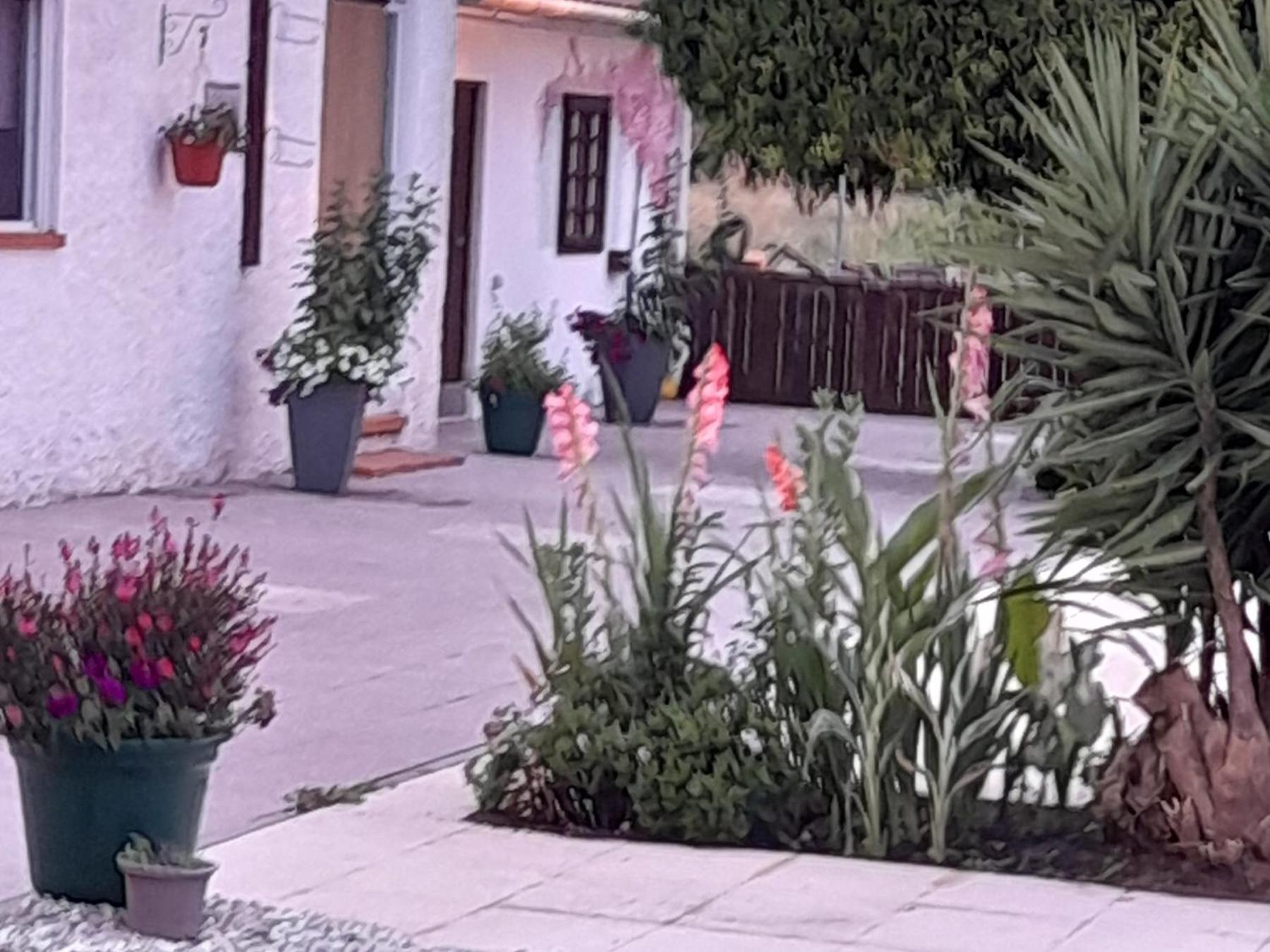 Casa Calado Villa Cadima Kültér fotó